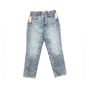 Aritzia Denim Forum‎ '90s Boyfriend Hi-Rise Loose Fit Jean NWT Light Wash Blue